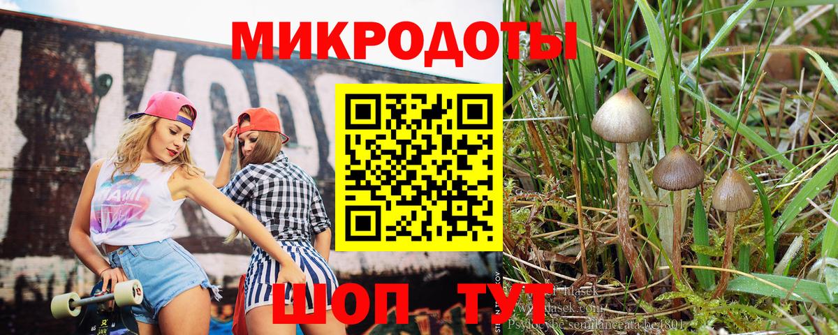 Галлюциногенные грибы Cubensis Югорск