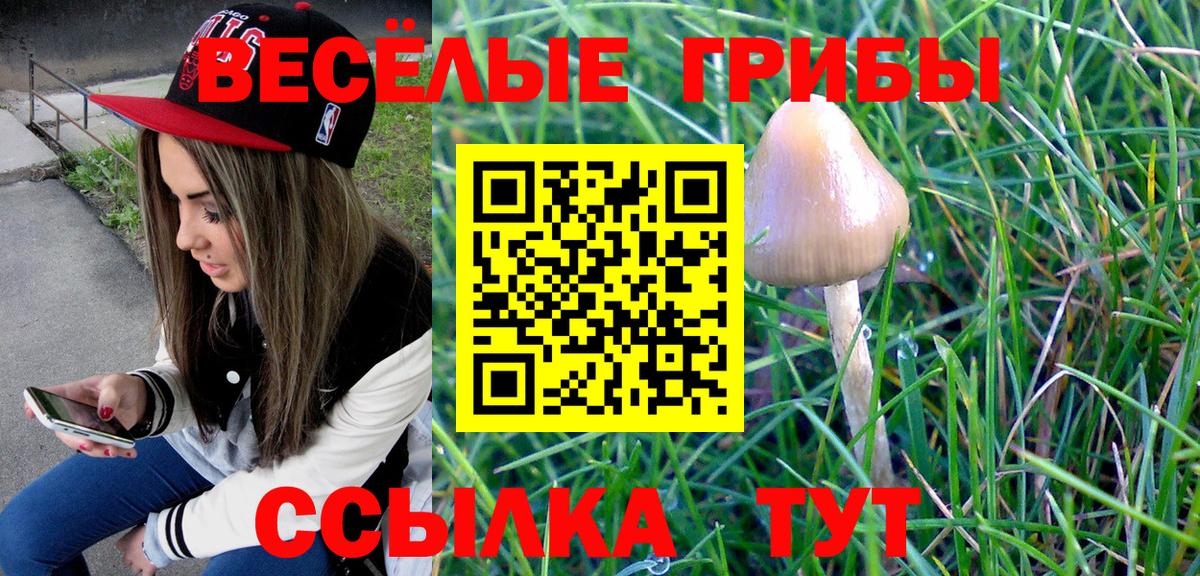 Псилоцибиновые грибы MAGIC MUSHROOMS  Вход с VPN  Югорск 